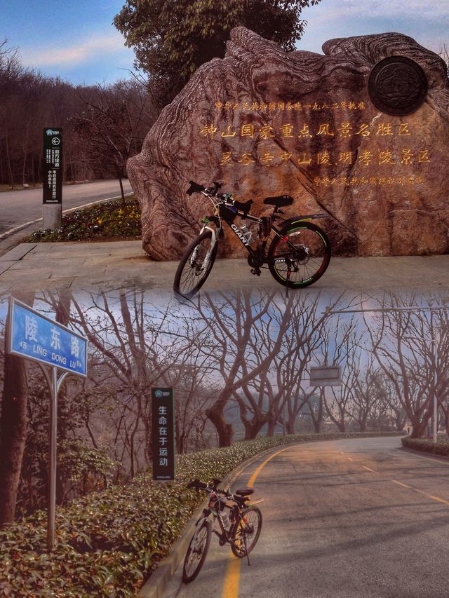 一條信息帶你了解南京城市CityWalk路線