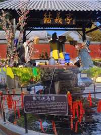 素甲成遺恨，雄師沒浪濤