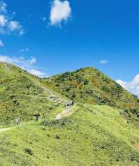 距離深圳5站地鐵在高山草地看無敵海景