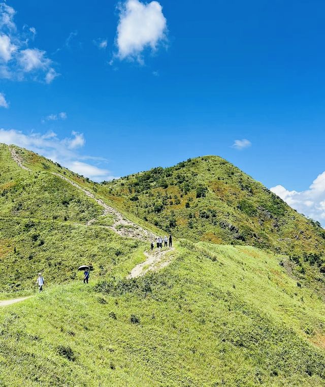距離深圳5站地鐵在高山草地看無敵海景