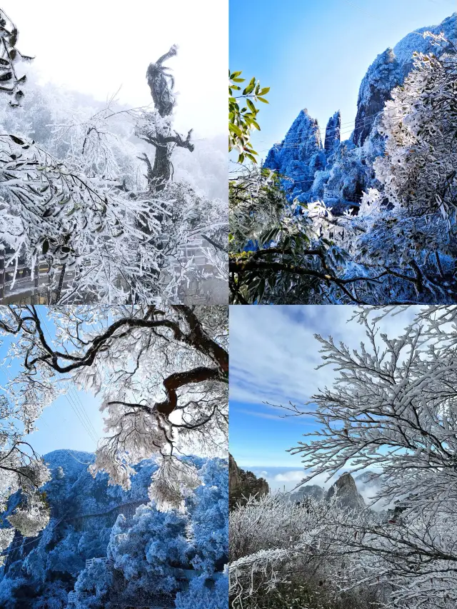 훈남 천주 | 불라 후회 광동 최저 상무성지