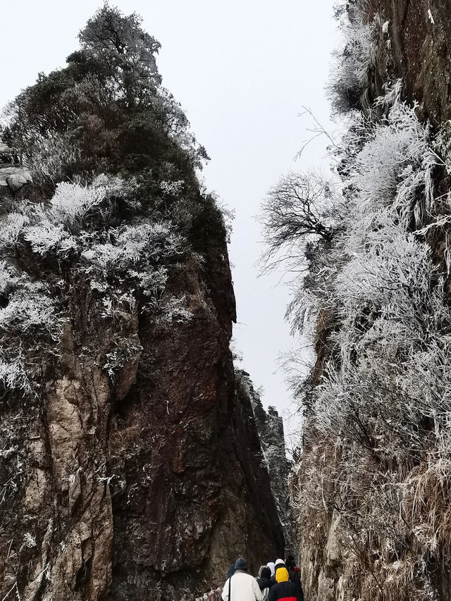 湖南郴州｜廣州2h可以看雪景的地方