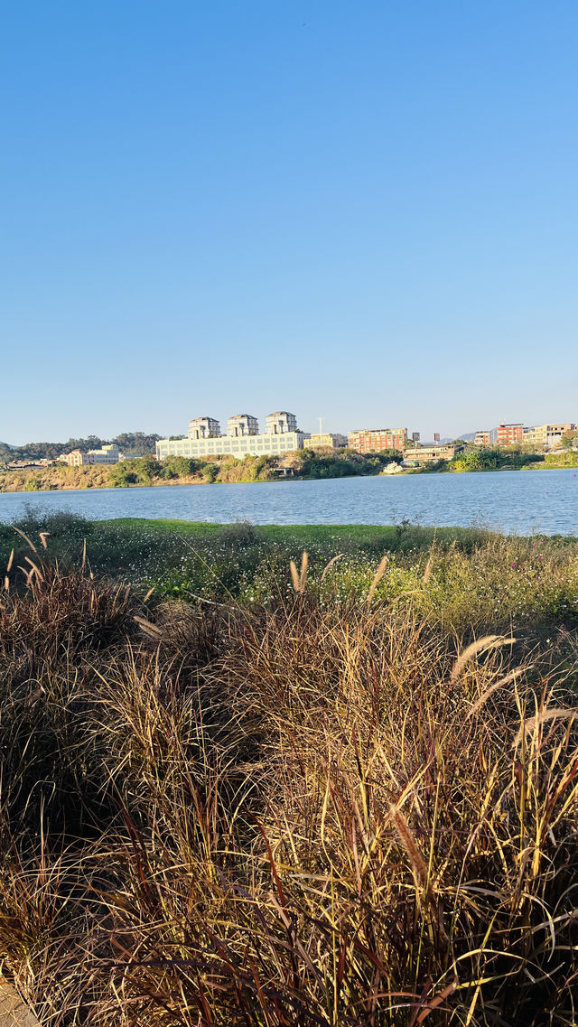 南安打卡·城西濕地公園