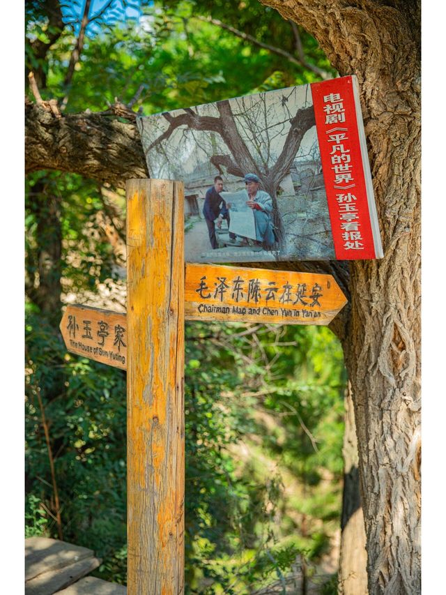 陝北窯洞《平凡的世界》取景地雙水村