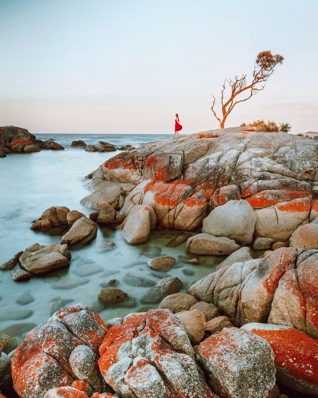 The Bay of Fires in Australia is so beautiful! Fiery red surrounds azure blue