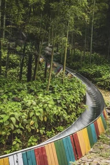 秋天與莫干山見一面吧，住進山野裡獨享竹林秘境