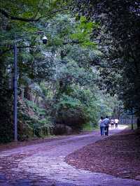 國慶佘山半日遊