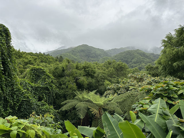 我愛五指山