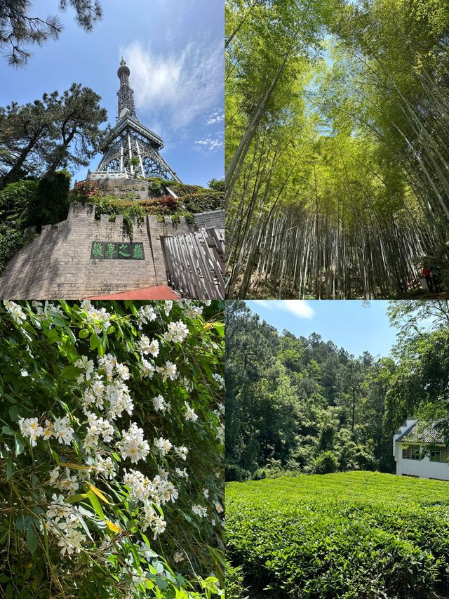 看完《長安三萬里》，再上宣城敬亭山