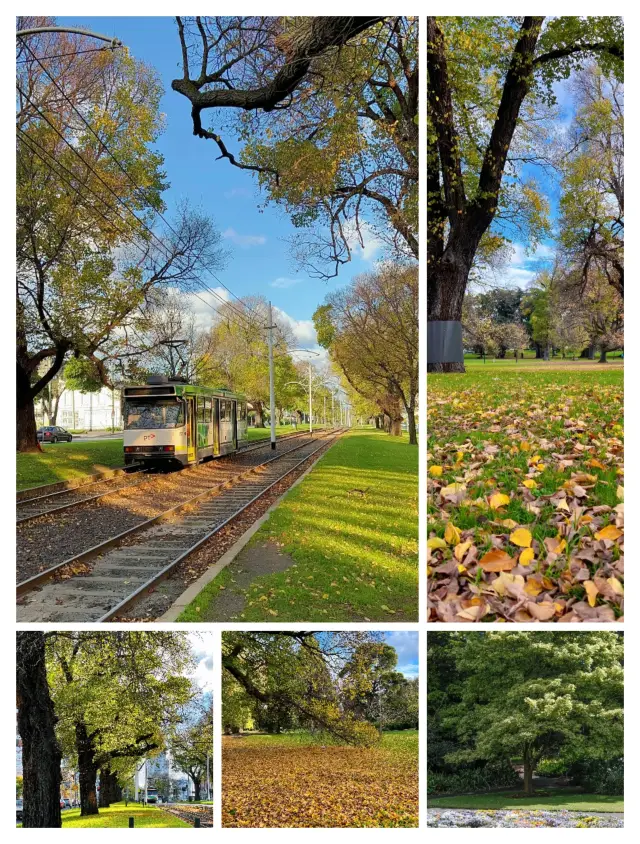 Melbourne Park｜day-2 citywalk