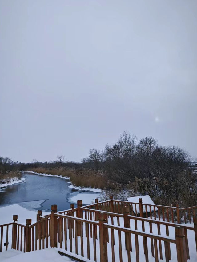 黑龍江五大連池溫泊，東北雪景真的不要太美！