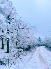 一山賞盡秋山雪色，四明山自駕路線及機位