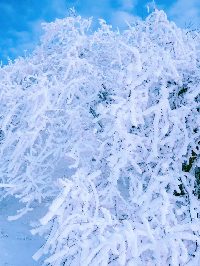 行走在神聖的冰雪時空|秦嶺·小峪草甸