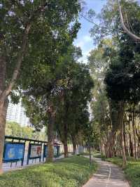 深圳Citywalk：福榮綠道