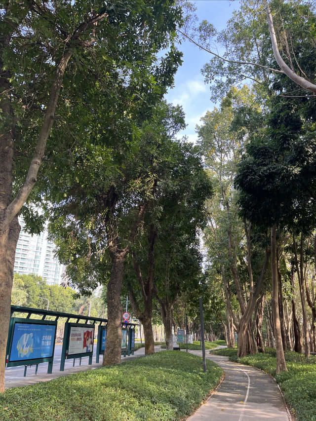 深圳Citywalk：福榮綠道