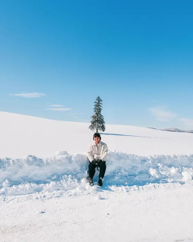 그래요. 올해는 홋카이도 어디로 떠나볼까요❄️