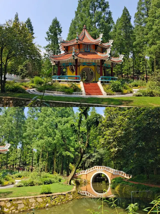 武汉植物園｜現実版の緑のオズに突入