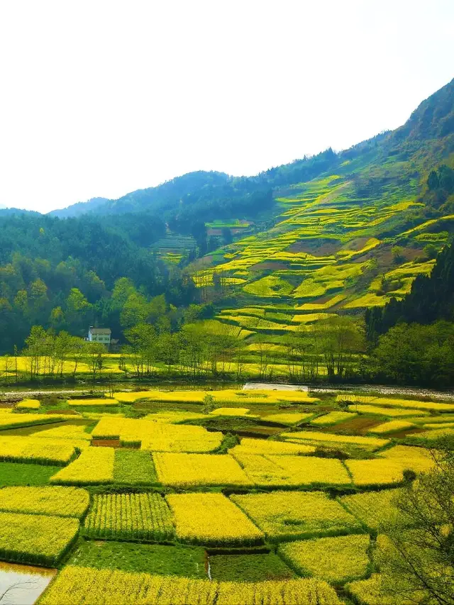 最美風景，秒放鬆，推薦