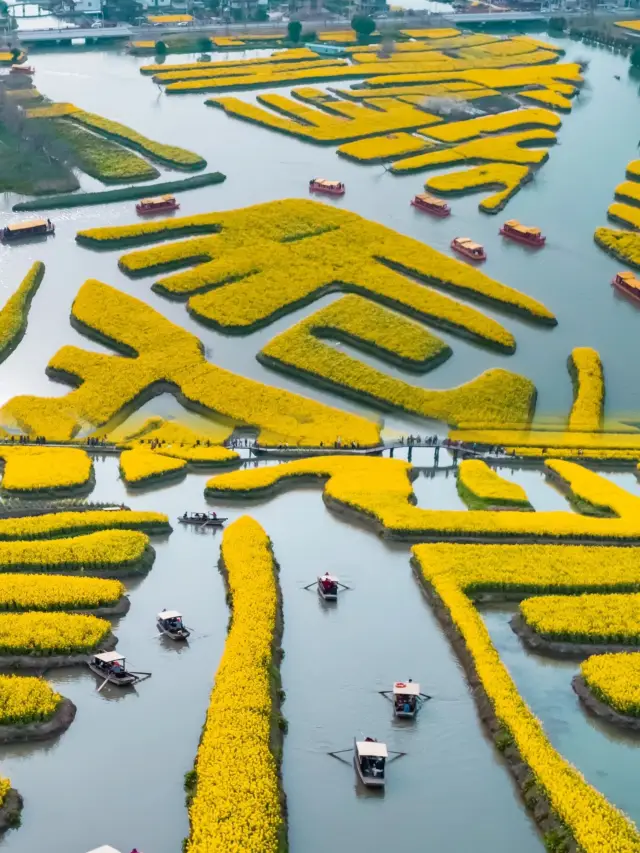 중국에 유일무이한 수상 유채꽃 바다를 발견했다!!