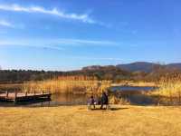 南京春日騎行—金色鍾山