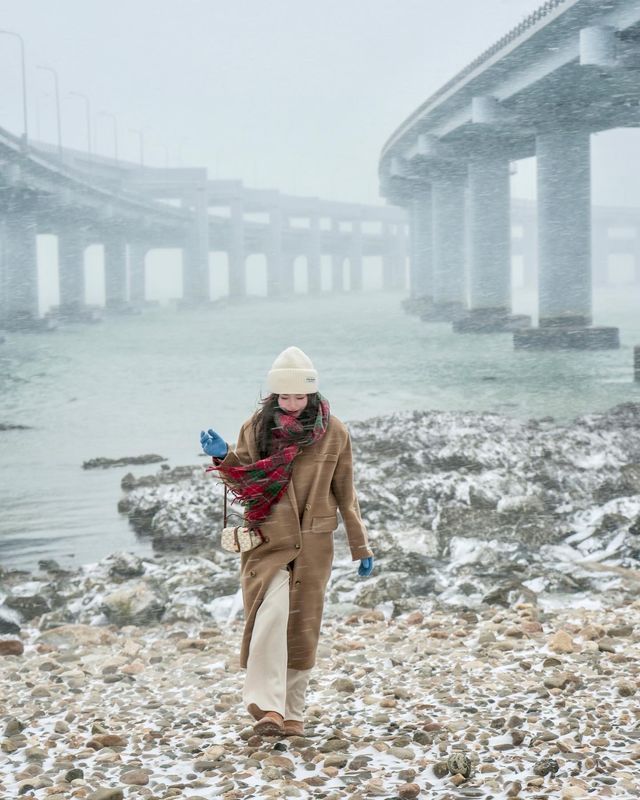 別再花錢去北海道看雪啦！大連海邊雪景性價比更高（附攻略）