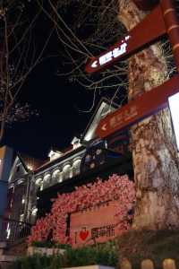 武漢旅遊太會了昙華林又上新了超出片