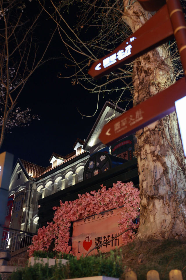 武漢旅遊太會了昙華林又上新了超出片