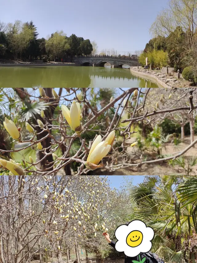 운성 여행 연표 예성 영락궁, 벽화는 여전히 조원도이다