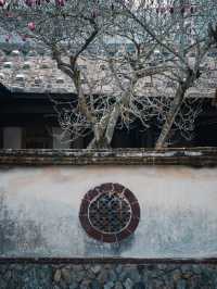藏在泉州山村的古代書院
