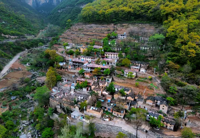 The best place to be in spring is surely where the flowers bloom brilliantly in the Taihang Mountains!