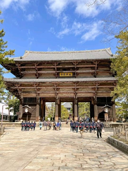 Nara Deer Park in Osaka🦌