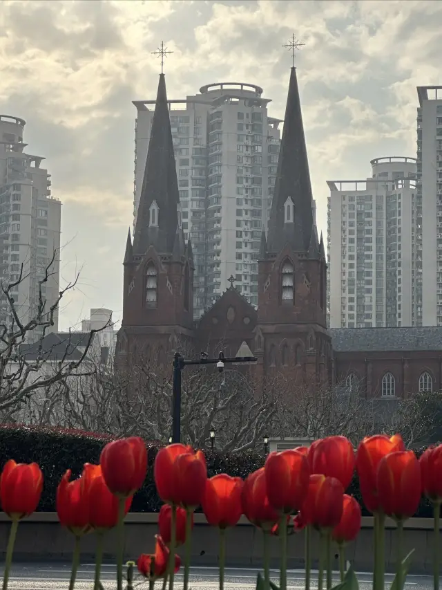 One would truly be captivated by the sea of blooming flowers in Shanghai during March