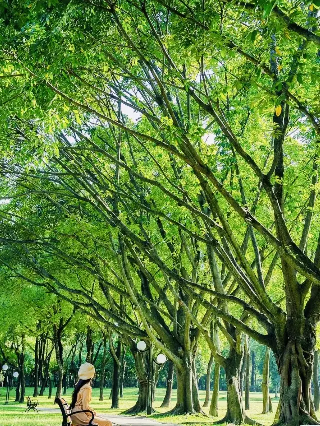會發光的綠光森林原來在荔香公園