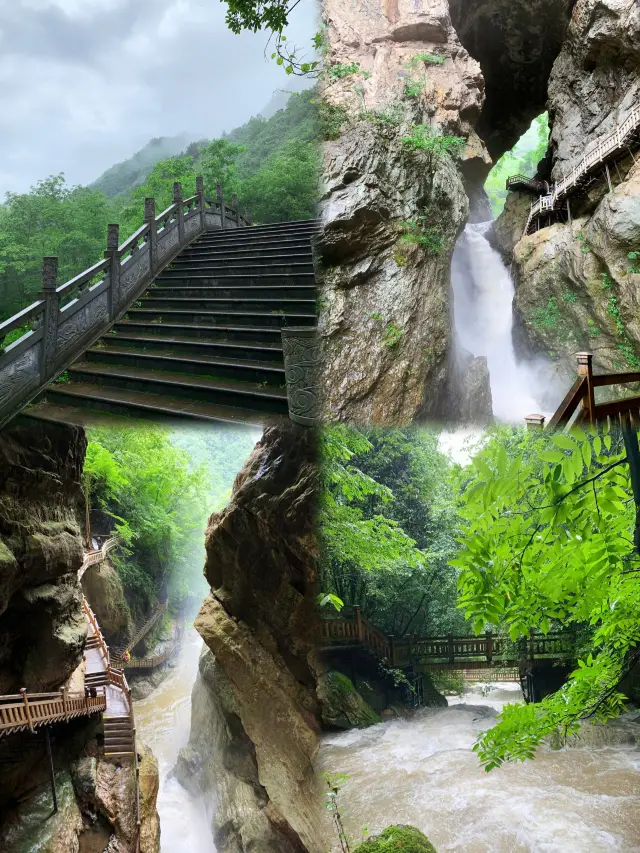 Explore the Pristine Mystery of Shennongjia, Hubei: A 2-Day In-depth Travel Guide