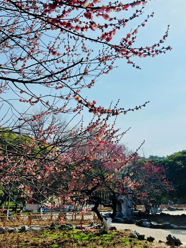 逛逛古林公園