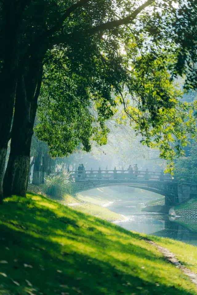 武漢解放公園|步步是景,四季皆美