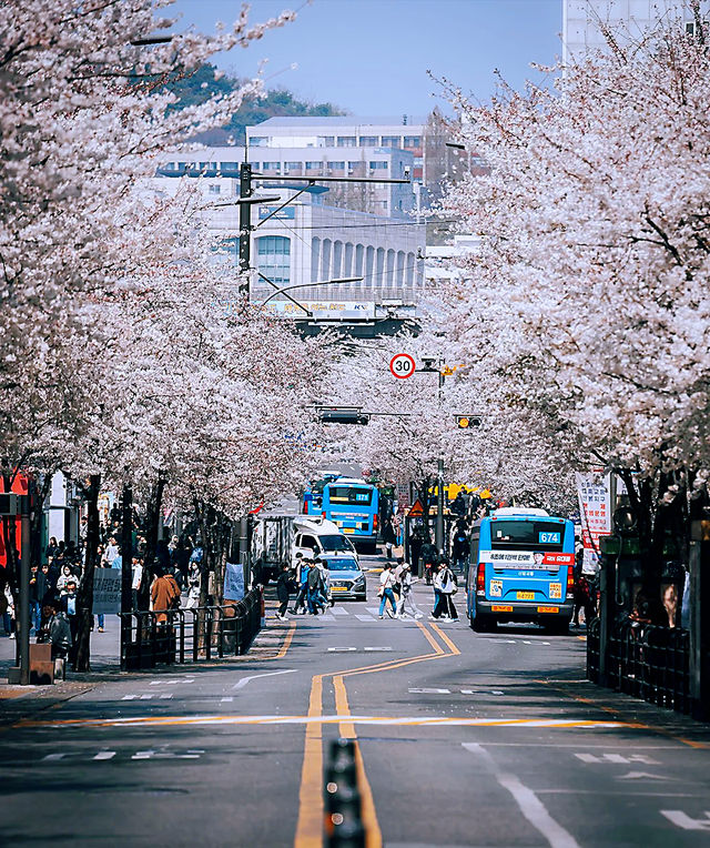 韓國首爾兩日強推路線💕💕