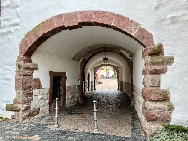 位於Mümling河畔的埃爾巴赫城堡
