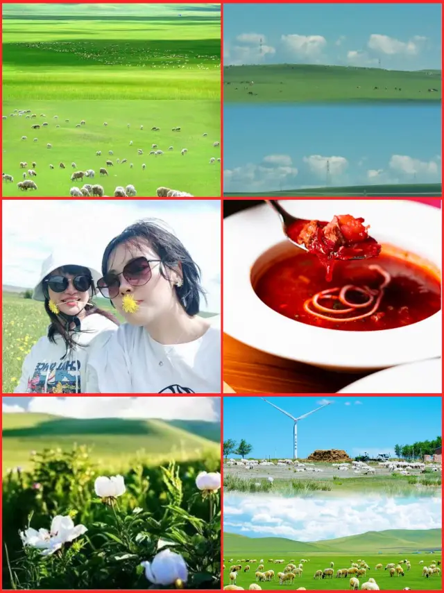 Come to Hulunbuir for a carefree journey!!!