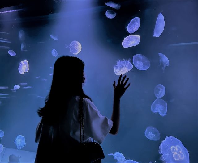 【東京陽光水族館】- 帶你穿越海洋的神奇之旅！