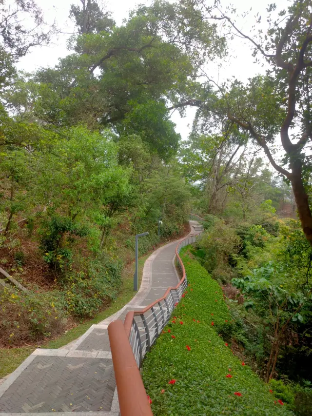 Take the least path, see the most beautiful scenery