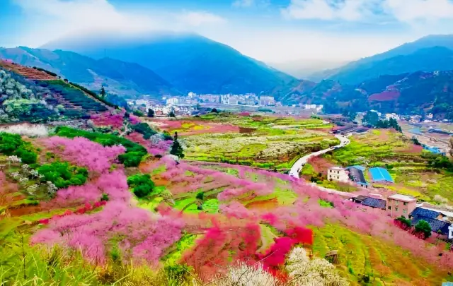 廣東賞花好去處，春暖花開景色美