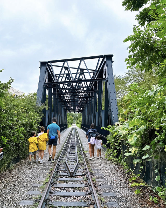 打卡新加坡網紅地-武吉知馬桁架橋