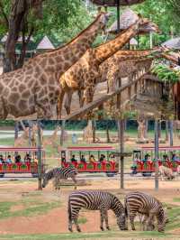 逛完一天的野生動物園後，不必走回頭路