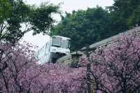 開往春天的列車，路線推薦