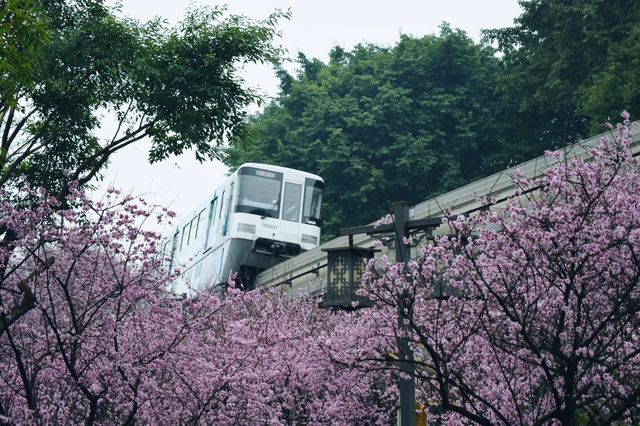 開往春天的列車，路線推薦