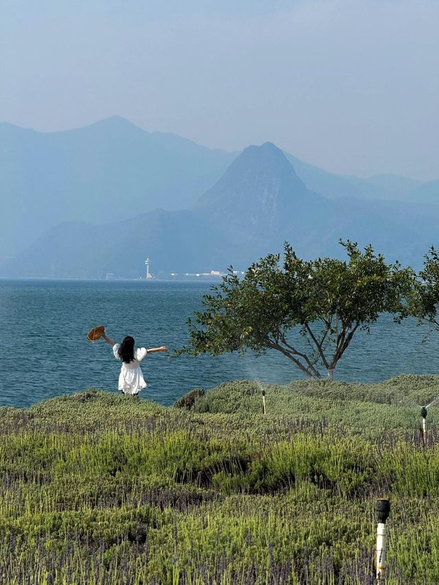 洱海人太多，不如去抚仙湖live直出！！！