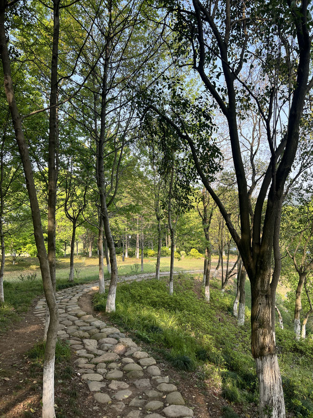 杭州旅遊｜西湖留給遊客，湘湖留給自己～