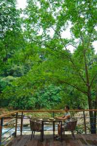 In Chengdu, one cannot find a second hot spring like this, brimming with the charm of nature🌳.