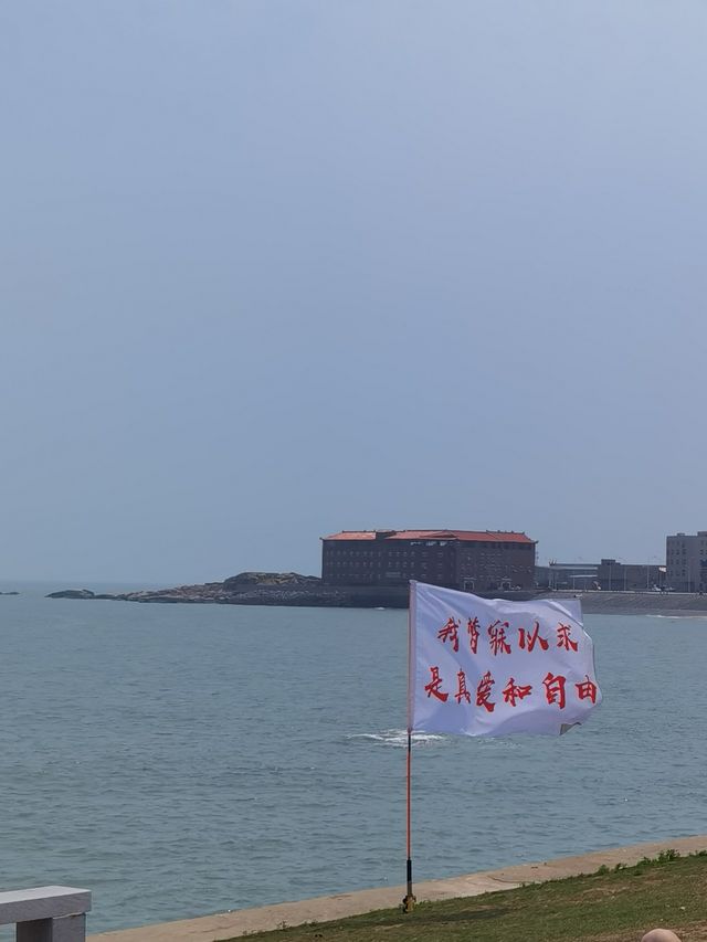 石獅小威海跌入海邊舒適區！看海太chill！